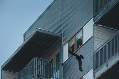 Low angle view of modern building and a flying crow in nuuk, greenland