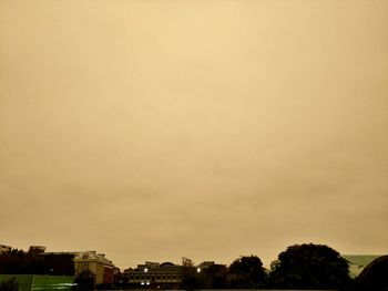 High section of trees against storm clouds