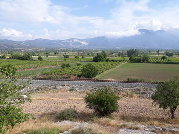 Scenic view of field against sky