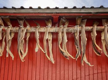 Clothes drying on roof against wall