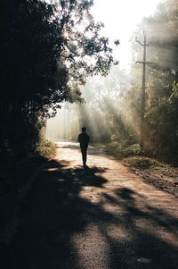 Silhouette person standing on road by tree