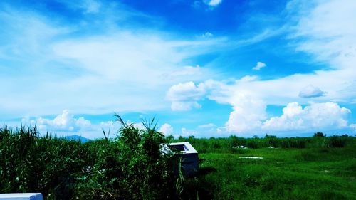 Scenic view of grassy field against cloudy sky