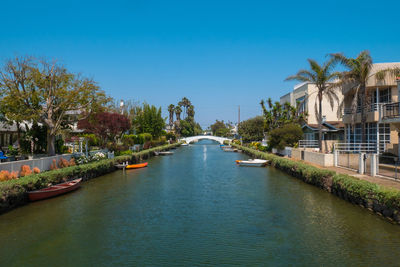 Canal amidst trees in city against clear blue sky