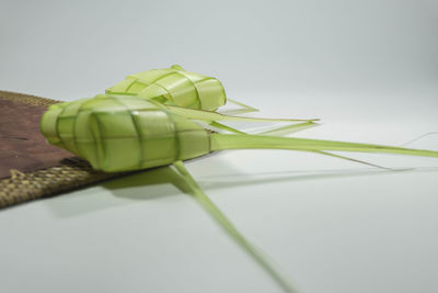 Close-up of green leaves on table against white background