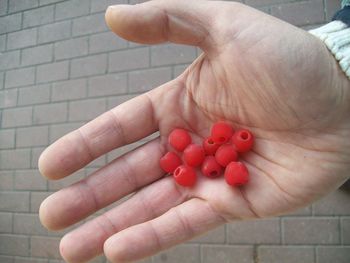 Midsection of person holding strawberries