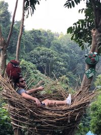 Young man in basket on tree in forest