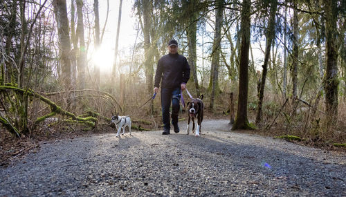 Man walking dog in forest