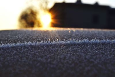 Close-up view of sunlight