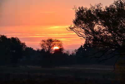 Silhouette trees on field against orange sky