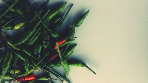 Close-up of green chili pepper