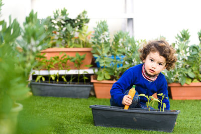 Portrait of cute boy in yard