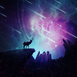 Low angle view of silhouette of a stag standing against starry night sky