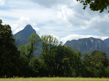 Scenic view of mountains and trees against sky