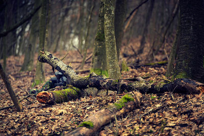 Army soldier with gun hiding behind fallen tree in forest