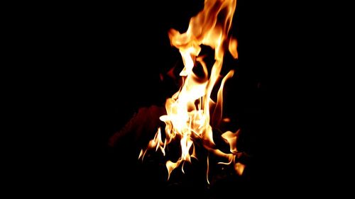 Close-up of bonfire at night