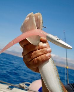 Close-up of hand holding sailboat in sea against sky