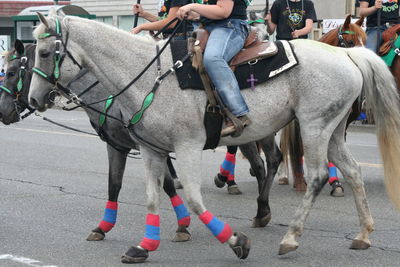 Low section of man riding horses