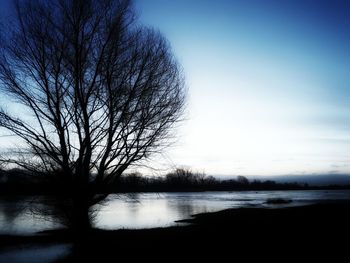 Silhouette bare tree by lake against sky