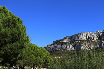 Scenic view of landscape against clear blue sky