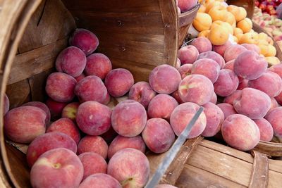 Close-up of fruits