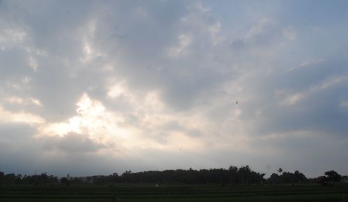 Scenic view of field against sky during sunset