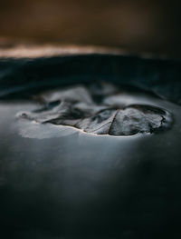 Close-up of dry leaves on paper