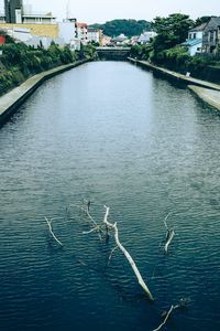 Scenic view of river