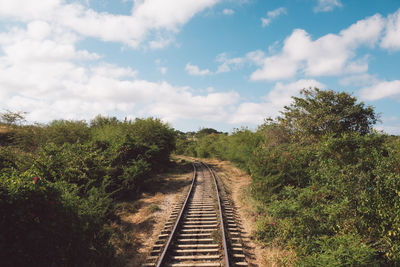 Railroad tracks amidst trees against sky