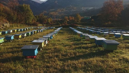View of cemetery on field