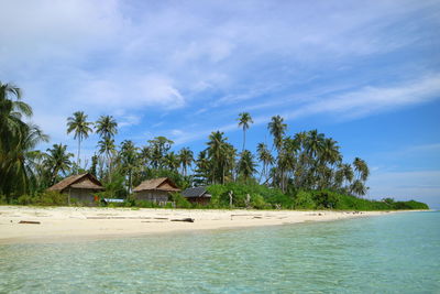 Scenic view of sea and palm trees against sky