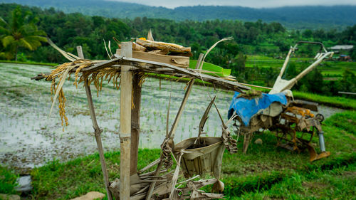 Panoramic view of agricultural field