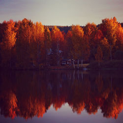 Scenic view of lake in forest during autumn