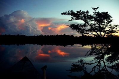 Reflection of trees in water at sunset