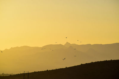 Silhouette birds flying in sky during sunset