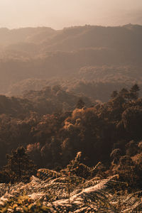 High angle view of landscape against sky