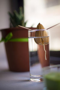 Close-up of drink on table