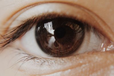 Close-up of human eye