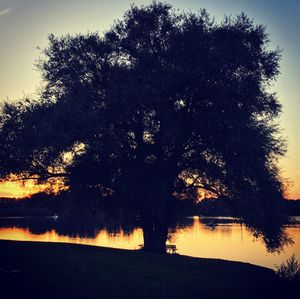 Silhouette trees by lake against sky during sunset