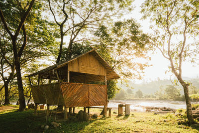 House amidst trees in forest