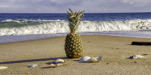Scenic view of sea shore against sky