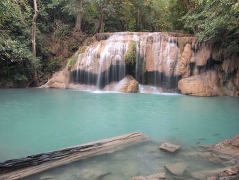 Scenic view of waterfall in forest