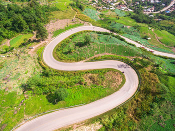 Aerial view of winding road amidst trees in forest