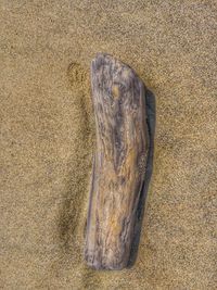 High angle view of water on sand at beach