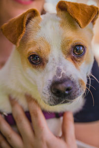 Close-up of person with dog