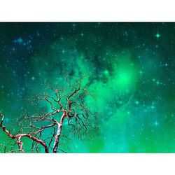 Low angle view of bare trees against sky