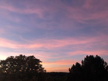 Low angle view of silhouette trees against sky during sunset