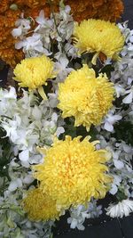 Close-up of yellow flowers