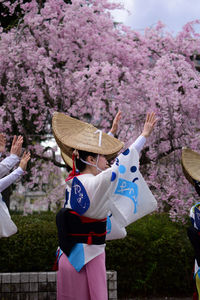 Rear view of cherry blossoms in spring