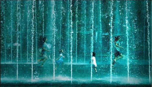 Reflection of trees in water