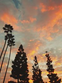 Low angle view of silhouette trees against sky during sunset